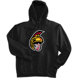 Seacoast Spartans (Ice Hockey) Ultimate Cotton - Pullover Hooded Sweatshirt