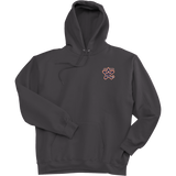 NY Stars Super Heavyweight Fleece Hoodie