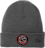 Palmyra Black Knights New Era Speckled Beanie