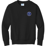 Carolina Thunder Youth Core Fleece Crewneck Sweatshirt